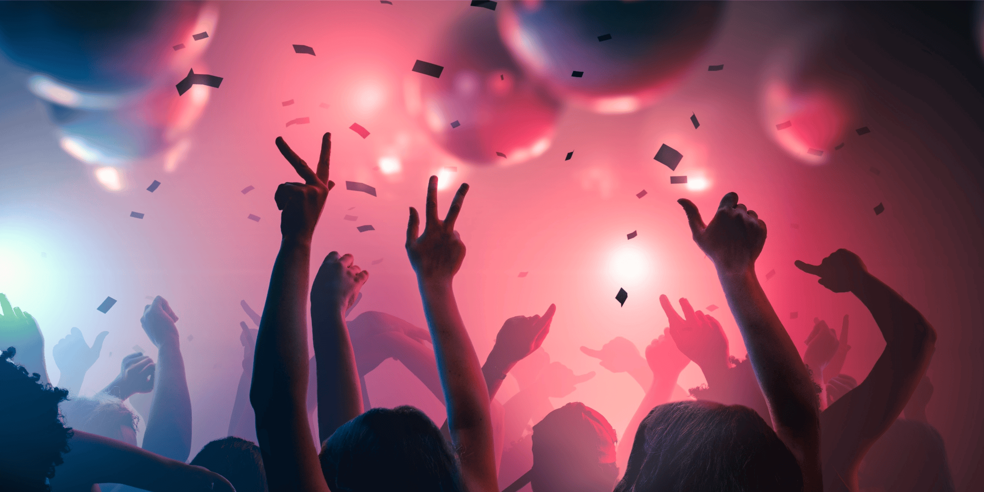 Hoorns Vertier feestje in Schouwburg het Park